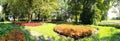 Panorama of the road in the park between the flower beds with hosta and coleus, lined with round cut trees on a sunny summer day