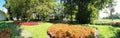 Panorama of the road in the park between the flower beds with hosta and coleus, lined with round cut trees on a sunny summer day