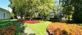 Panorama of the road in the park between the flower beds with hosta and coleus, lined with round cut trees on a sunny summer day
