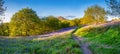 Panorama of Roseberry Topping from Newton Wood Royalty Free Stock Photo