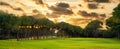 Panorama of a row of pine trees in the background and even green grass of the green of a golf course in Belek Turkey Royalty Free Stock Photo