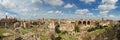 Panorama of the ruin field of the Forum Romanum