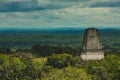 Panorama of Tikal Royalty Free Stock Photo