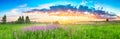 Panorama rural landscape with sunrise  and  blossoming meadow Royalty Free Stock Photo