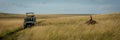 Panorama of safari truck and sitting cheetah