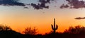 A panorama of a saguaro cactus silhouetted against the glowing red sky of the sunset Royalty Free Stock Photo