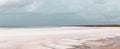 Panorama salt pink lake gray epic clouds on sky