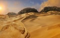 Panorama of sand dunes Sahara Desert at sunset Royalty Free Stock Photo