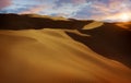 Panorama of sand dunes Sahara Desert Royalty Free Stock Photo