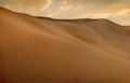 Panorama of sand dunes Sahara Desert at sunset. Endless dunes of yellow sand. Desert landscape Waves sand nature Royalty Free Stock Photo