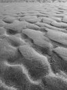 Panorama Sand Texture, wave abstract lines. Abstract Monochromatic sand wave background.