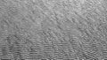 Panorama Sand Texture, wave abstract lines. Abstract Monochromatic sand wave background.