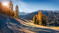 Panorama of the Santa Maddalena village`s slopes in front of the Royalty Free Stock Photo