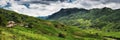 Panorama Scenery View of Agriculture Rice Fields, Nature Landscape of Rice Terrace Field at Sapa, Vietnam. Panorama Countryside Royalty Free Stock Photo