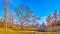 Panorama of the glade in Kyiv Botanical Garden with domes of Vydubychi Monastery, Ukraine Royalty Free Stock Photo