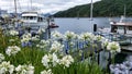 Panorama of Scenic Queen Charlotte sound and fishing boats Royalty Free Stock Photo