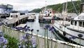 Panorama of Scenic Queen Charlotte sound and fishing boats