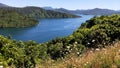 Panorama of Scenic Queen Charlotte sound in summer Royalty Free Stock Photo