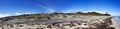 Panorama of the seaweed covered beach.