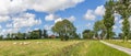 Panorama of sheep in a dutch landscape near Wetsinge Royalty Free Stock Photo