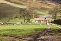 Panorama of a sheep farm with an old barn at the foot of a hill in Edale, Peak District, England Royalty Free Stock Photo