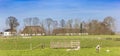 Panorama of sheep in front of a white farm in Gaasterland