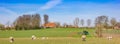 Panorama of sheep in the landscape near Groot Wetsinge Royalty Free Stock Photo