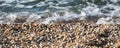 Panorama of shells on the beach of the Black Sea coast against the background of foamy sea waves and surf blurred in bokeh