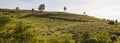 Panorama with Shepherd and Flock of Sheep Royalty Free Stock Photo