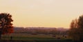 The panorama. A shepherd at sunset herding cows Royalty Free Stock Photo