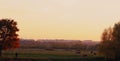 The panorama. A shepherd at sunset herding cows