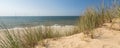 Panorama shot of beach grass in dune landscape with beach and ocean in the background Royalty Free Stock Photo