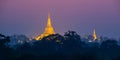 Panorama of the Shwedagon pagoda illuminated at night in Yangon Burma Myanmar