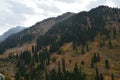 Panorama Shymbulak valley near Almaty Kazakhstan Royalty Free Stock Photo