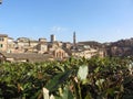 Panorama of Siena with the tower known as Torre del Mangia . Tuscany, Italy