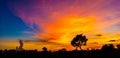 Panorama silhouette tree in africa with sunset.Amazing sunset and sunrise. Royalty Free Stock Photo