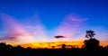 Panorama silhouette tree in africa with sunset.Amazing sunset and sunrise. Royalty Free Stock Photo