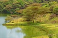 Panorama silhouette tree in africa with sunset.Tree silhouetted against a setting sun reflection on water.Typical african sunset Royalty Free Stock Photo