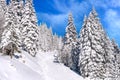 Panorama of ski resort Kopaonik, Serbia Royalty Free Stock Photo