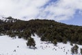 Panorama of ski resort, slope, people on the ski lift, skiers on the piste among white snow pine trees. Winter season