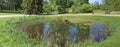 Panorama of a small round rural pond with still water, fountai