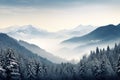 Panorama of snowy forest at foggy winter day with tonal perspective