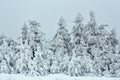 Panorama of the snowy winter landscape in the mountains Royalty Free Stock Photo