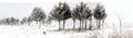 Panorama of snowy winter trees Royalty Free Stock Photo