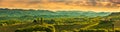Panorama of South Styria Vineyards landscape near Austria - Slovenia border. View at Vineyard fields in sunset in spring