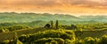 Panorama of South Styria Vineyards landscape near Austria - Slovenia border. View at Vineyard fields in sunset in spring