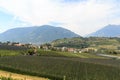 Panorama with South Tyrolean Apple plantations, vineyards and mountains in Tirolo, South Tyrol, Italy