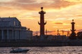 Panorama of the spit of Vasilievsky island at sunset, St. Petersburg