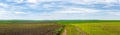Panorama of a spring field with young greenery and a dirt road in early spring Royalty Free Stock Photo