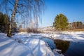 Panorama of the spring forest, Russia, the Urals